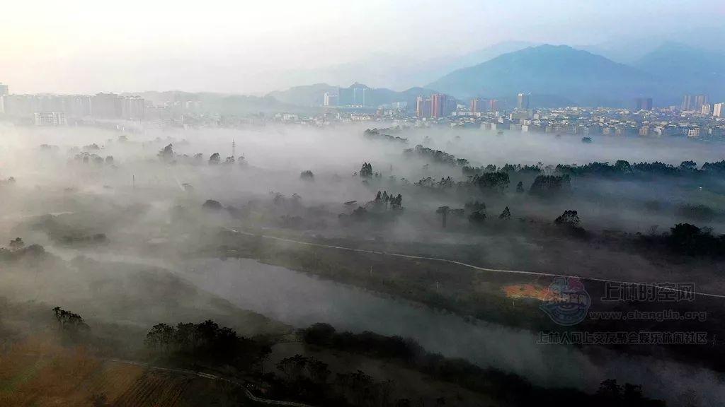 危险的社会