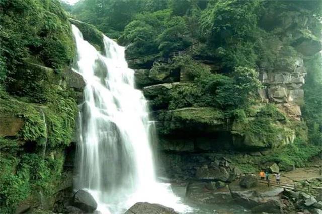 星露谷物语